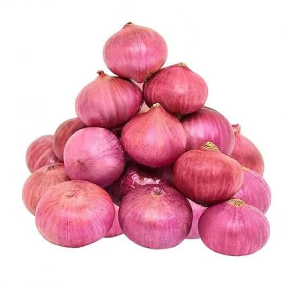 Onion – வெங்காயம்