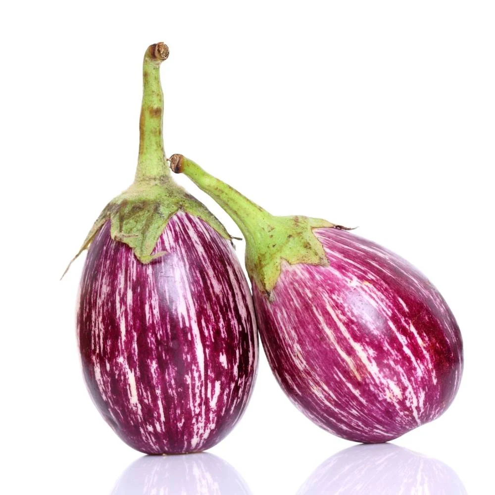 Eggplant / Brinjal – கத்தரிக்காய்