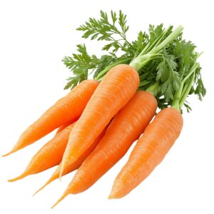 Carrot – கேரட்