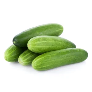 Cucumber – வெள்ளரிக்காய்