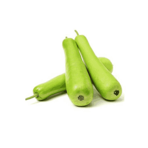 சுரைக்காய் — Bottle gourd