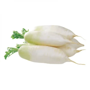 முள்ளங்கி