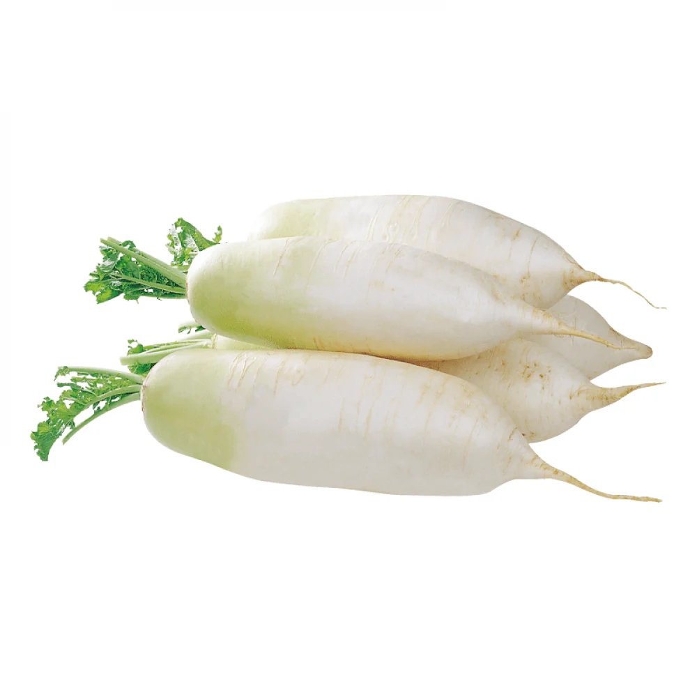 முள்ளங்கி